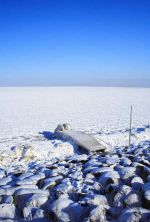 icecold swimwater.jpg